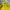 Columbia Gorpcore Casual Windbreaker Pria yellow photo 2