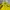 Columbia Gorpcore Casual Windbreaker Pria Yellow