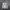 MLB Luxury Sportswear Bomber jacket Pria white brown photo 5