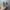 Converse Casual Sneakers Wanita green photo 4