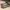 VANS Skater Indie Sneakers Pria tan gray photo 1