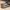 VANS Skater Indie Sneakers Pria Tan Gray