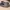 VANS Skater Indie Sneakers Pria tan gray photo 6