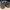 VANS Skater Indie Sneakers Pria Tan Gray