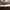 VANS Skater Indie Sneakers Pria tan gray photo 7