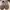VANS Skater Indie Sneakers Pria tan gray photo 4