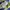 Minimalist Casual Windbreaker Kids blue photo 6