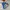 Minimalist Casual Windbreaker Kids blue photo 5