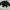 Axes Femme Goth Blazer Wanita black photo 1