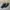 The North Face Gorpcore Sportswear Sneakers Pria Black Gray