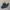 Columbia Gorpcore Sneakers Pria gray blue photo 1