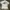 Vintage T-shirt Pria white photo 1
