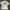 Vintage T-shirt Pria White
