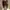 Vintage Pria brown photo 1