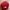 MLB Skater Minimalist Hat Pria red black photo 2