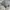 Nike Gorpcore Sportswear Sweatpants & Joggers Pria gray photo 6