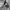 Nike Gorpcore Sportswear Sweatpants & Joggers Pria gray photo 3