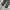 Nike Gorpcore Sportswear Sweatpants & Joggers Pria black gray photo 4