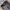 Nike Streetwear Sportswear Sweatpants & Joggers Pria red black photo 3