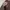 Dickies Vintage Streetwear Casual pants Pria brown photo 6