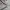 Mizuno Biker Sportswear Windbreaker Pria white photo 5