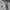 Mizuno Biker Sportswear Windbreaker Pria white photo 4