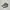 Salomon Casual Sneakers Wanita multicolor photo 3