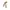 Goth Emo Scarf Wanita white khaki photo 1