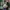 Japanese brand Cosplay Toy Kids gray photo 5