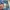 Versace Streetwear Luxury Jeans Pria multicolor photo 7