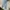 Versace Streetwear Luxury Jeans Pria multicolor photo 1
