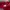 Casual Hat Pria red photo 6