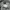 Nike Streetwear Sportswear Short Pria gray photo 6