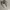 Streetwear Casual Sneakers Pria white photo 4