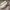 Off-White Streetwear Casual Sneakers Pria white black photo 3