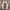 Off-White Streetwear Casual Sneakers Pria white black photo 6
