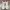 Off-White Streetwear Casual Sneakers Pria White Black