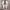 Off-White Streetwear Casual Sneakers Pria white black photo 7
