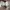 Off-White Streetwear Casual Sneakers Pria white black photo 4
