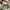 Off-White Streetwear Casual Sneakers Pria white black photo 8