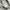 Y2K Pria gray photo 2