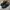 Dickies Vintage Casual Ankle boots Pria black photo 3