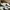 Nike Streetwear Minimalist Sneakers Wanita white photo 4