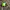 Vintage Streetwear Pria green photo 1