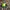 Vintage Streetwear Pria Green