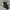 Y2K Minimalist Skirt Wanita white black photo 1