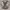 Y2K Grunge Midi dress Wanita white black photo 1