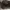 Converse Streetwear Sneakers Pria black photo 5