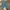 Big John Skater Jeans Pria blue photo 1