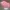 Levi's Sportswear Minimalist Boxer Pria pink photo 2